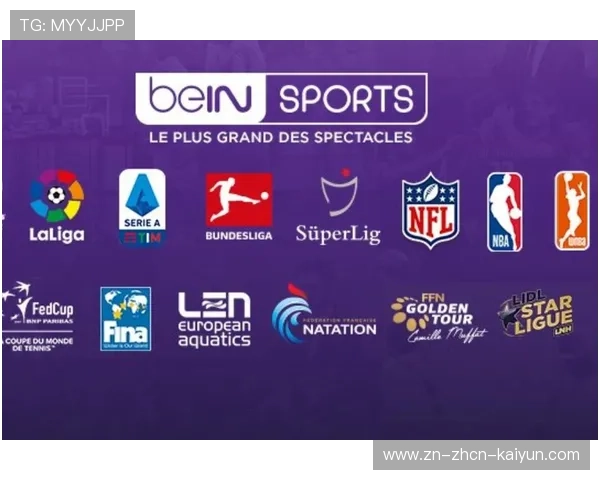 沙特财团收购纽卡斯尔后续：英超财务公平法案面临挑战